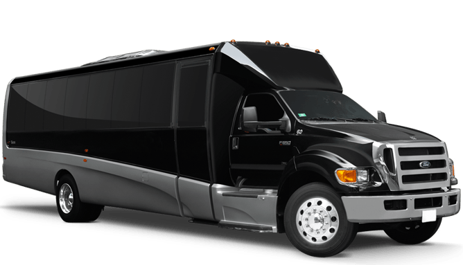 Mini Coach