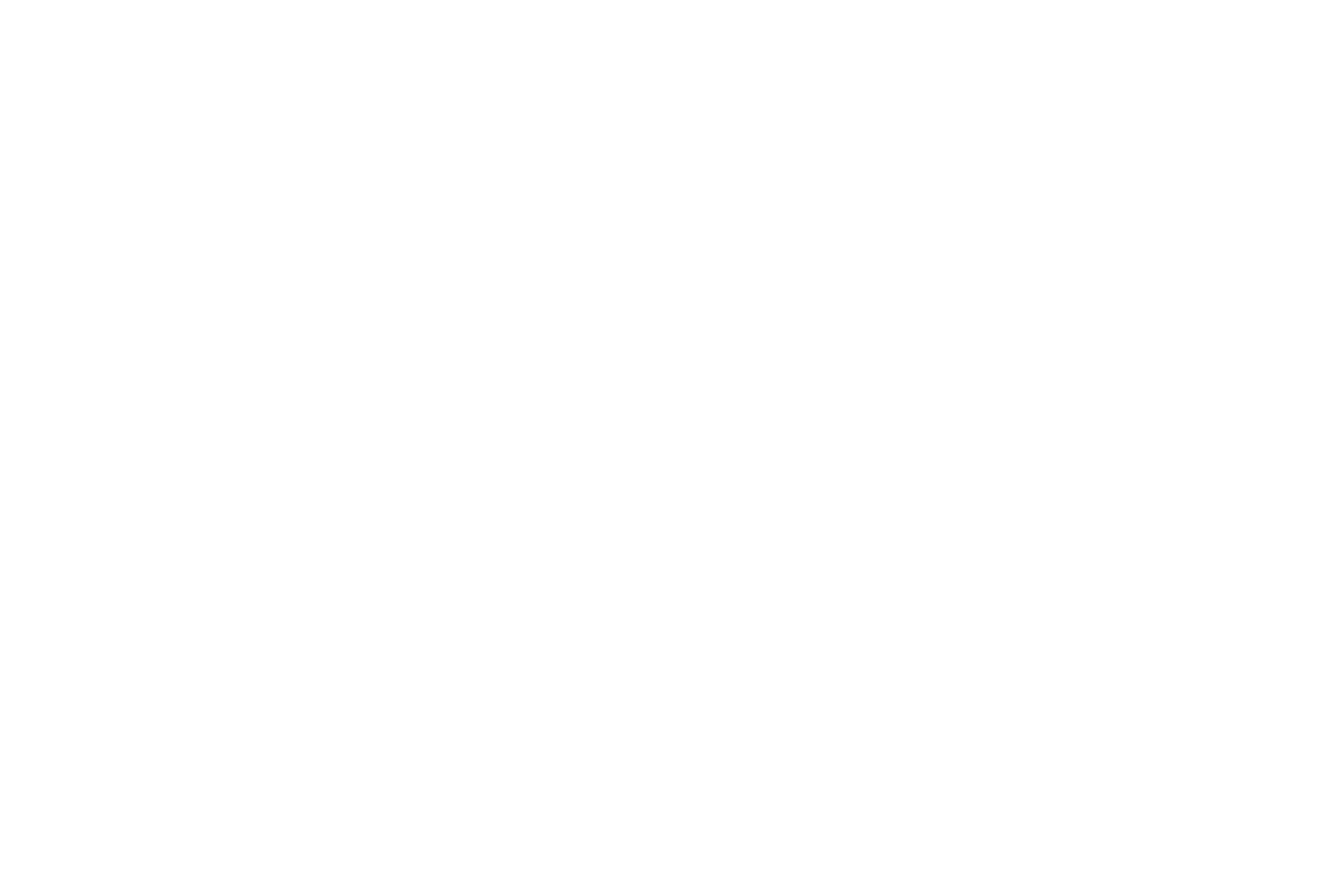 Chic rides logo